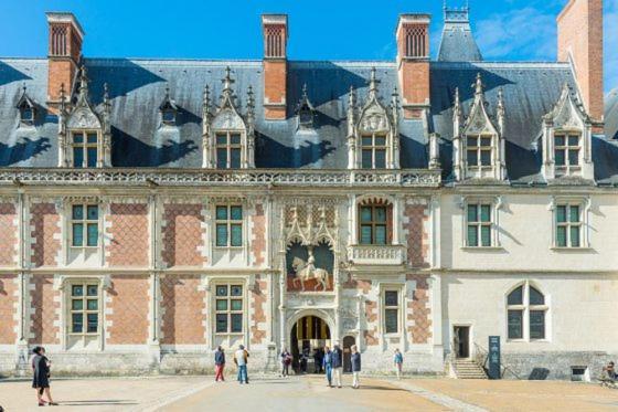 Loire Velo 3 Appartements Moderne Velo Parking 20 Places Velos Centre Ville Historique בלואה מראה חיצוני תמונה