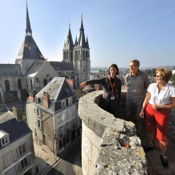 Loire Velo 3 Appartements Moderne Velo Parking 20 Places Velos Centre Ville Historique בלואה מראה חיצוני תמונה
