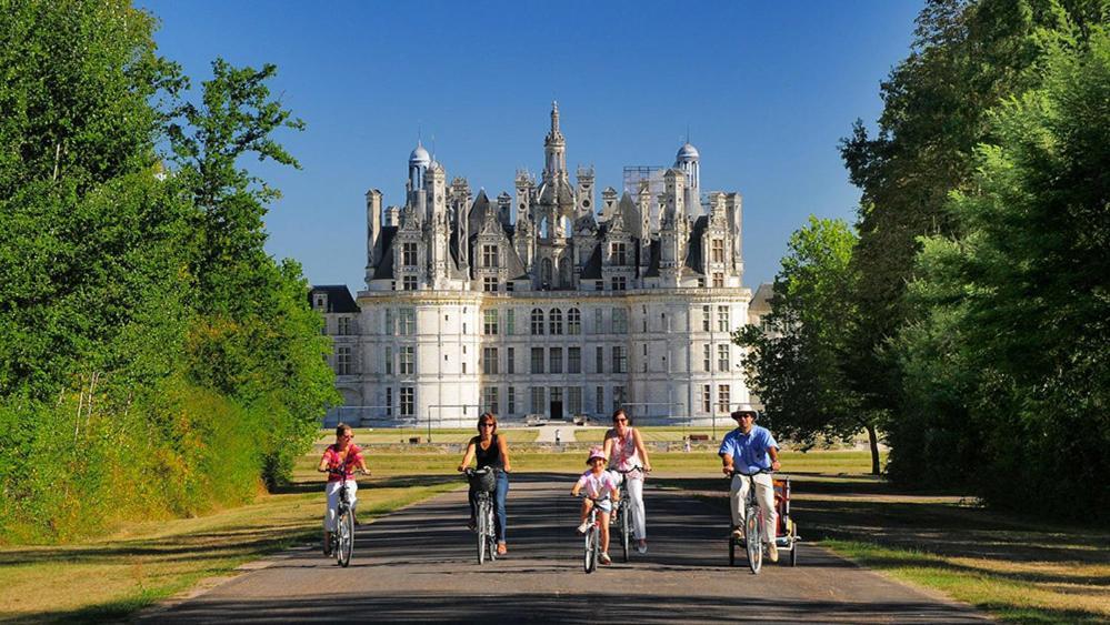 Loire Velo 3 Appartements Moderne Velo Parking 20 Places Velos Centre Ville Historique בלואה מראה חיצוני תמונה